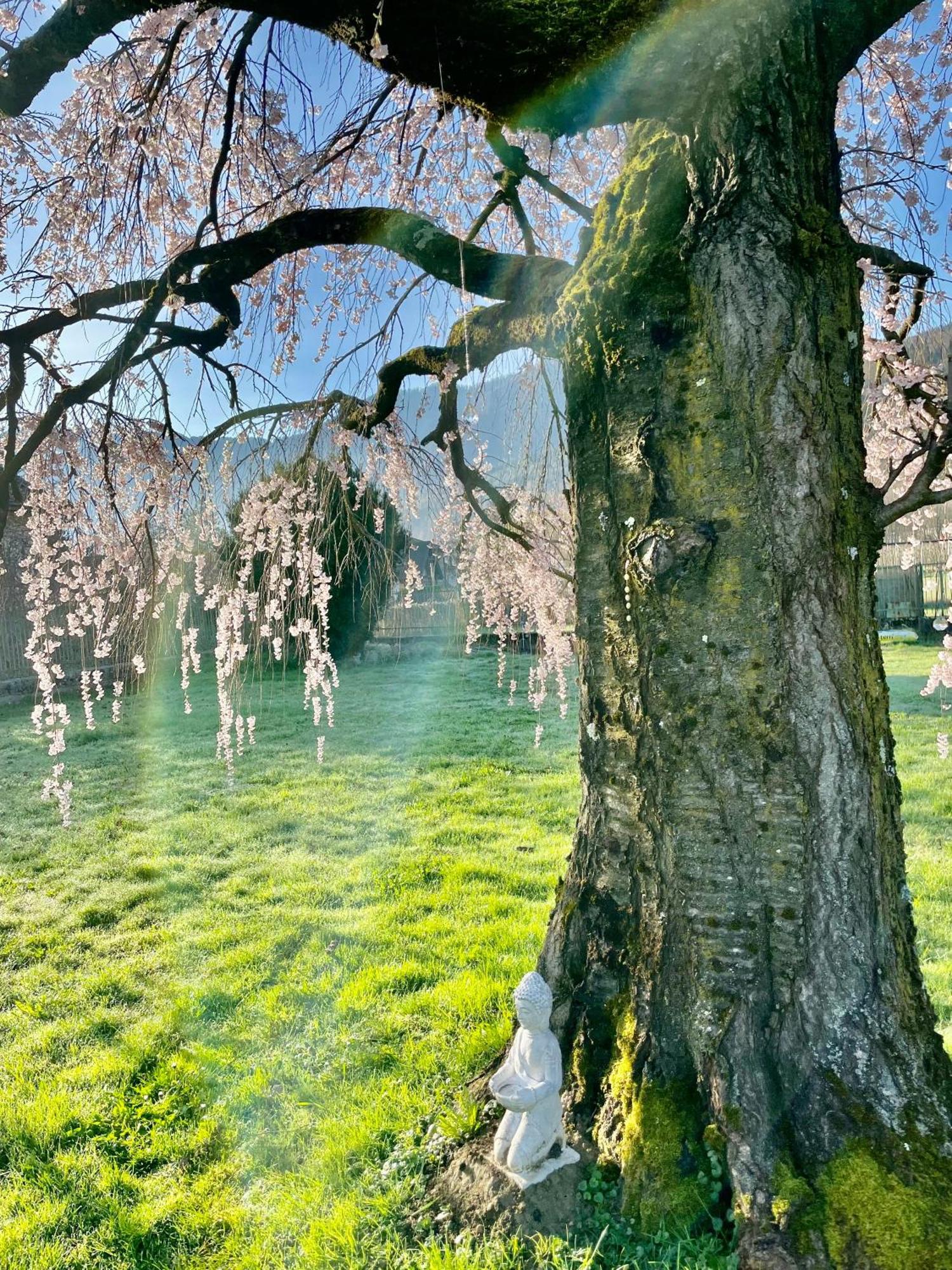Paradiso Sul Lago كالسرانيكا ال لاغو المظهر الخارجي الصورة